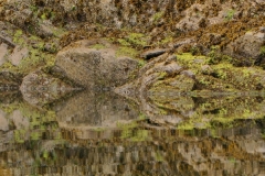 IMG_3358_web