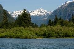 IMG_3564_web-1